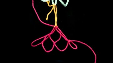 Introduction to Creating a Square-mesh Netting Rectangle