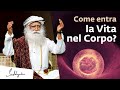 Come entra la Vita in un Corpo? | Sadhguru Italiano