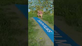 Fakta Unik: Cara Siput Bergerak Kayak Seluncuran Air! 💧🐌