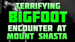 TERRIFYING BIGFOOT ENCOUNTER AT MOUNT SHASTA