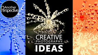 AMAZING PHOTOGRAPHY IDEAS IN 2020 - Creative Dandelion Clocks (3 Photographers 1 Image)