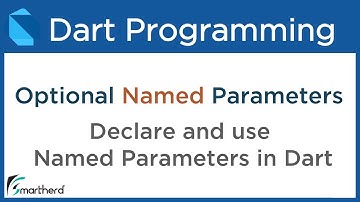 Dart Optional NAMED Parameters in Functions. Dart Tutorial for Flutter #6.5