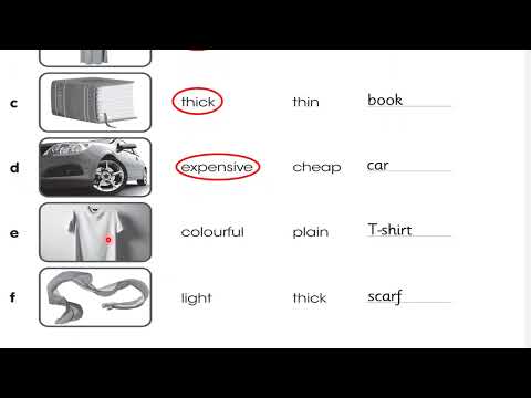 حل صفحة 26 و 27 نشاط انكليزي سادس ابتدائي