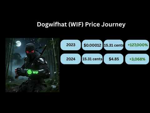 The Meteoric Rise and Cool Down of Dogwifhat WIF