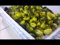 Keto Brussels Spouts Recipe | Low Carb | Roasted Brussel Spouts