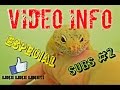 Información vídeo especial de suscriptores #2