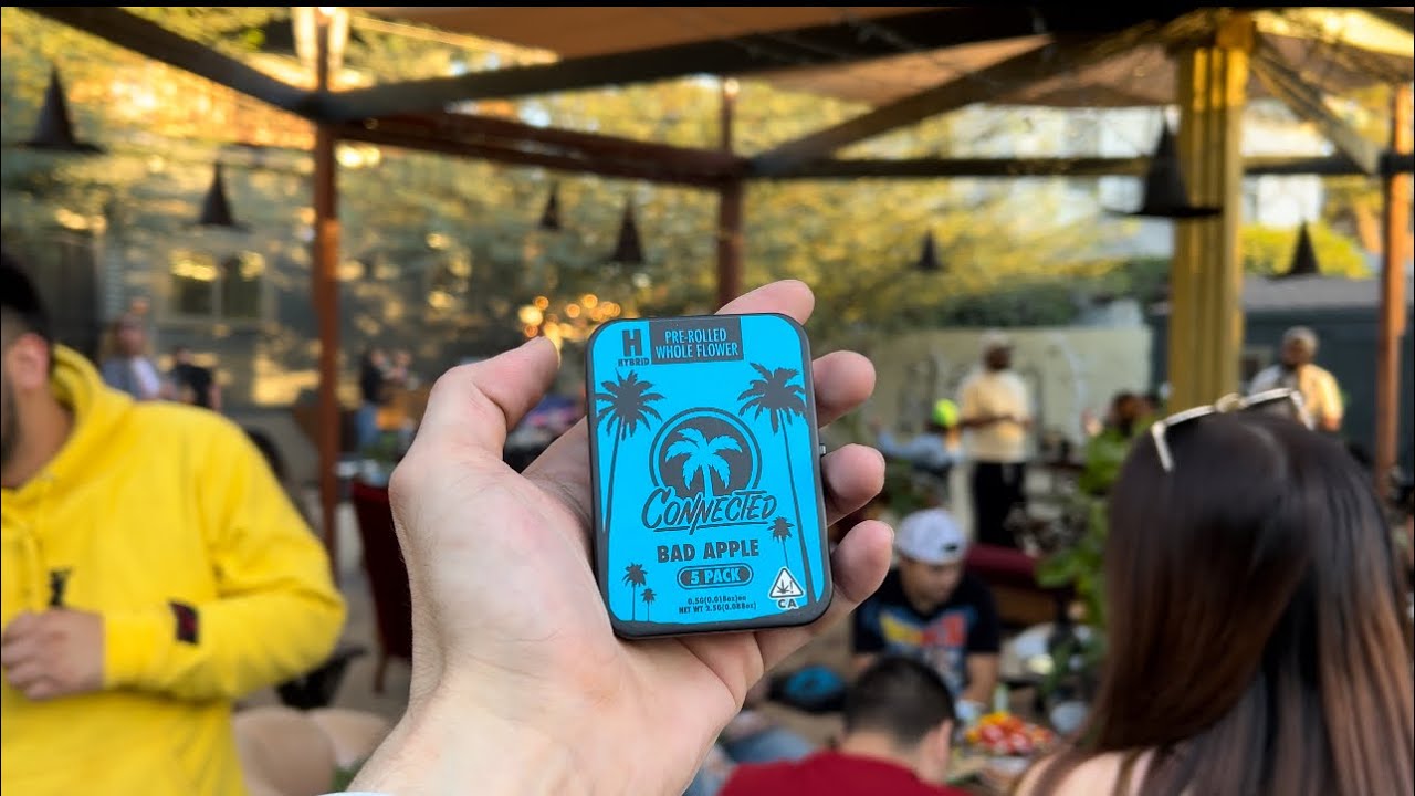 I Went To A Secret Stoner Event!…(Connected)