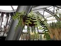 Our visit to the Cactus & Succulent collection at Berlin Botanical Gardens, Germany