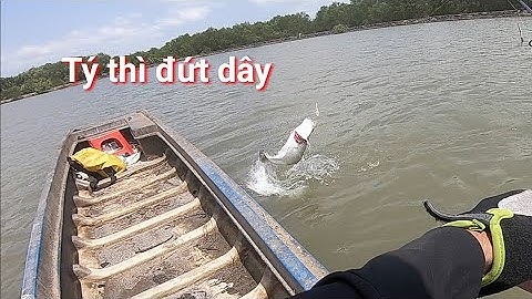 Câu Cá Chẽm Cần Giờ Con Cá Hung Dữ Phá Nát Con Mồi  Fishing seabass
