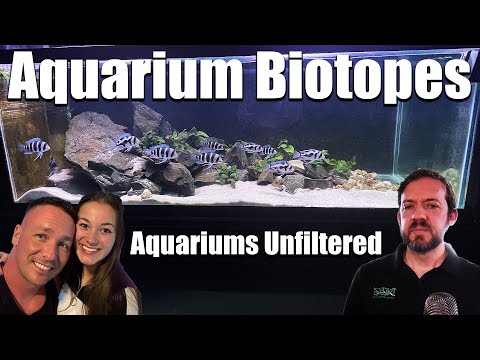Aquariums Unfiltered - Episode 14 - Michael Salutin - The king of DIY