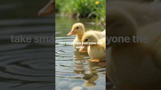 🦆 Mama Duck Guides Her Ducklings Through The Stream