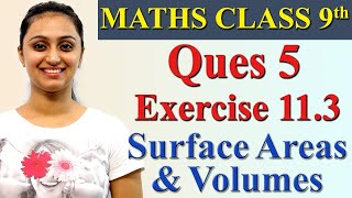 Q 5, Ex 11.3, Chapter 11 - Surface Areas And Volumes, Maths Class 9th, Ncert