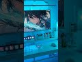 blue viber #gaminggsetup #gamingvideos #setup
