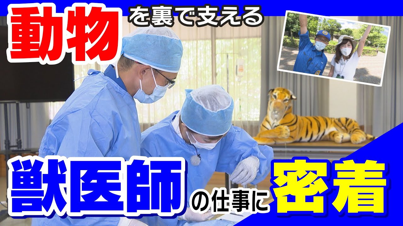 動物園 の 獣医 指導 案