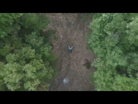 غابة العزر في فصل الخريف