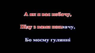 Юрій Шмегельський - Ой дівчата, дівчата (КАРАОКЕ)