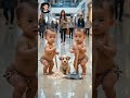 Twin Babies Cleaning Mall Floor with Puppy | Cute Baby Dance & Funny Moments. #shorts #short #funny
