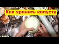 Как хранить капусту зимой до весны в погребе