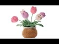 Tulip pot  - Last step：How to assemble the tulip potted plant？