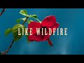 Rob jones   wildfire lyric