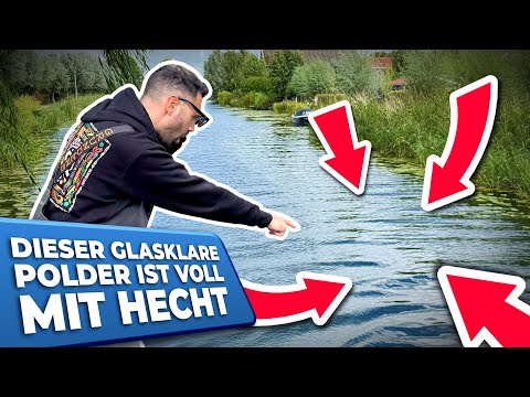 DIESER Glasklare Polder Ist Voll Mit Hecht