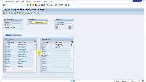 SAP CO Settings   CO PA Part №2 Maintain Characteristics and Values KEA5 KES1