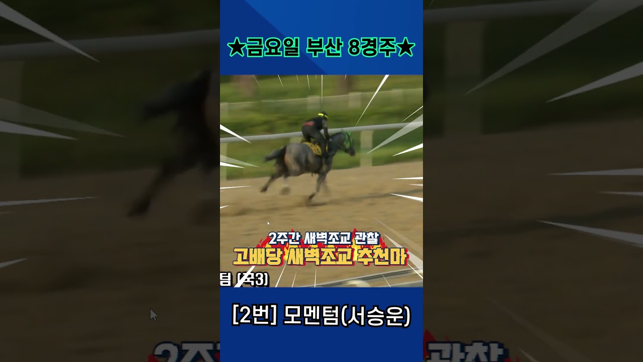8월28일 금요일 부산 8경주!! 2주간 훈련보인 강백호의 새벽조교 쏘스마!!