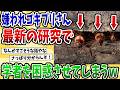 【2ch動物スレ】磁石にくっつくゴキブリ発見ｗｗｗ科学者困惑