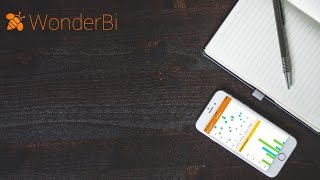 WonderBi Best Practices