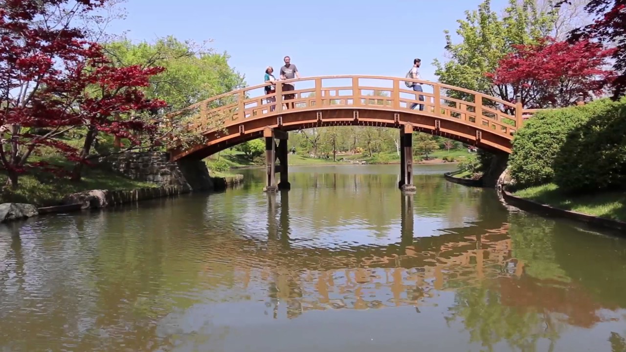 Seiwa-en Japanese Garden Turns 40 - Discover + Share