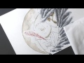 【絵本作家本人による絵本紹介】サトウヒロシ「明日死ぬかもしれないから今お伝えします」本人編集ムービー