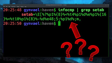 Looking into terminfo vm (part 3)