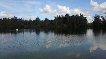 DJI Mavic Pro Low Altitude Flights & Hover Testing