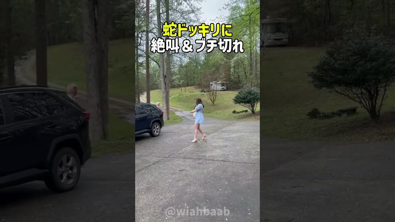 【爆笑】逃げてもついてくる！？