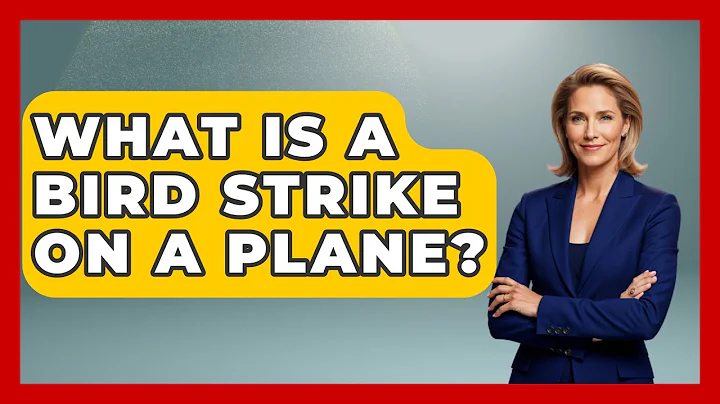 What Is A Bird Strike On A Plane? - Air Traffic Insider