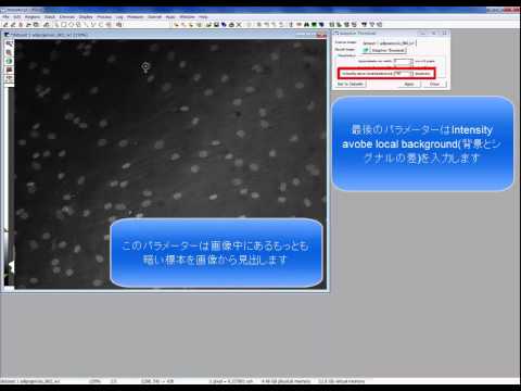 Adaptive Thresholdについて