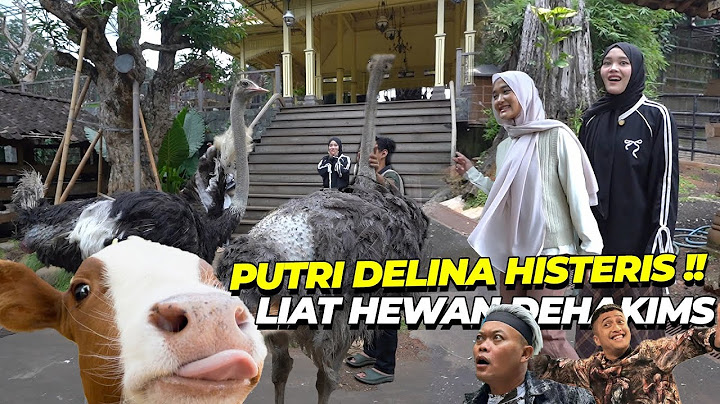 "SULE'S SON" IS IN LOVE WITH A JUMBO COW..?!!