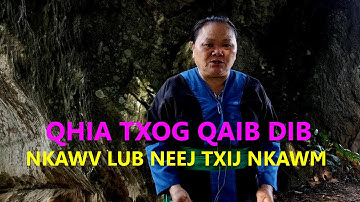 Niam qaib dib: tham txog qaib dib nkawv lub neej txij nkawm.
