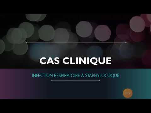 Vidéo: Infection Bactérienne (nocardiose) Chez Le Chat