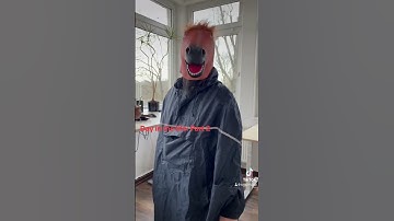 A Day in the Life at Tuta! Pt. 2 #privacy #encryption #cybersecurity #softwaredeveloper