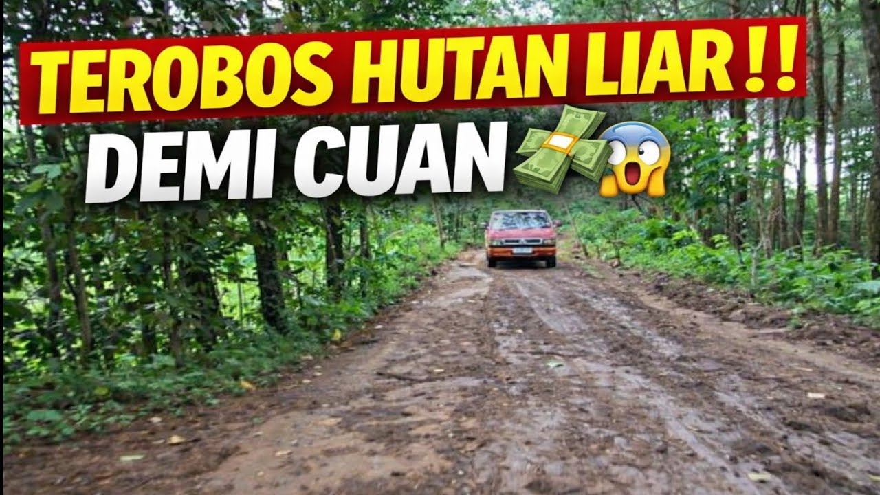 OTW CARI CUAN‼️ L300 TEROBOS HUTAN LIAR, JALURNYA BIKIN MERINDING 😨