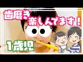 一歳児の息子が歯磨きを嫌がらなくなった理由。我が家の歯磨き方法！｜泣き叫ぶ｜歯磨きの時間｜赤ちゃんからの歯磨き習慣｜小児歯科｜仕上げ磨き｜歯磨き｜vlog｜vlogmas｜