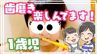 一歳児の息子が歯磨きを嫌がらなくなった理由。我が家の歯磨き方法！｜泣き叫ぶ｜歯磨きの時間｜赤ちゃんからの歯磨き習慣｜小児歯科｜仕上げ磨き｜歯磨き｜vlog｜vlogmas｜