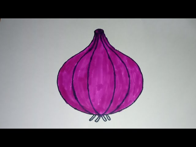 Drawing Tutorial for ONION - Basic vs Perfect | Drawing Tutorial for ONION  - Basic vs Perfect | By Did you know?Facebook