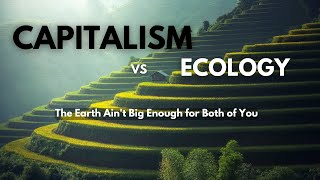 Capitalism & Ecology: The Brewing of a Financial Collapse