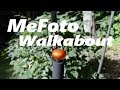 MeFoto Walkabout Monopod Review