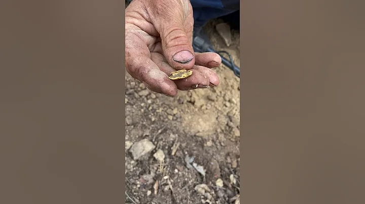 BIG GOLD NUGGET FOUND 7.5g!! | Gold Detecting Victoria | Minelab GPX5000