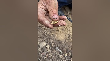 BIG GOLD NUGGET FOUND 7.5g!! | Gold Detecting Victoria | Minelab GPX5000