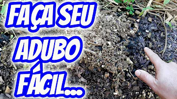 Como preparar adubo de esterco de galinha?