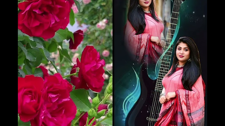 ২২ জুলাই, ২০২৪